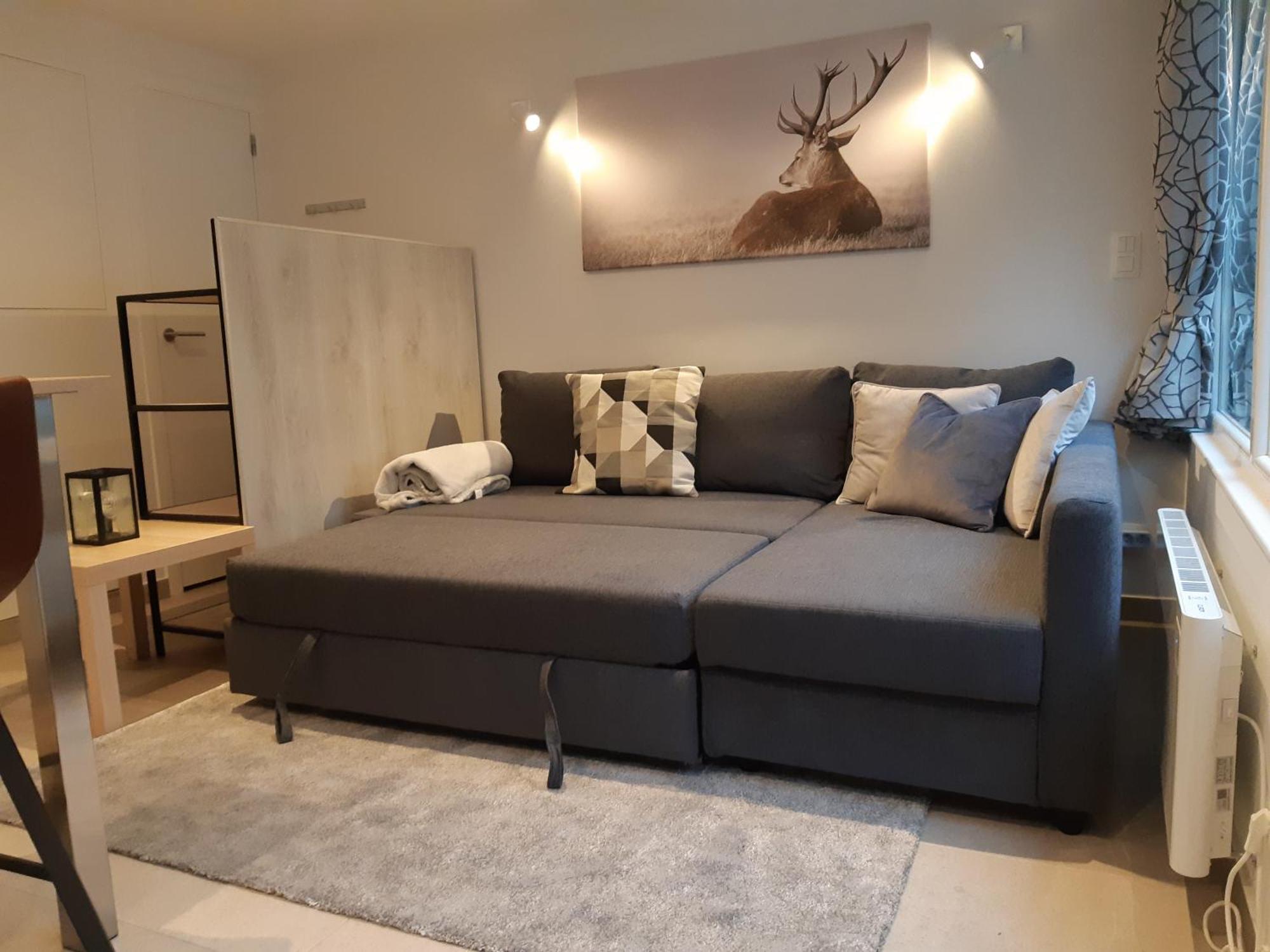 Terrasses De Malmedy F&L Triplex 214 Et Studio 320 Et 317 Et Studio Superieur 340 Zimmer foto